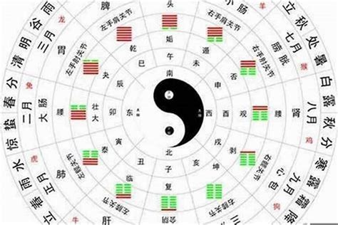 想知道自己是什么命吗金木水火土五行查询表|五行查询